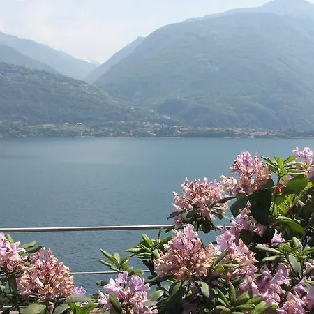 Apartament Red House Cremia